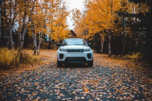fall driving safety
